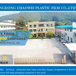 CHAOWEI Plastic Film Co.,Ltd company overview - view 1 thumbnail