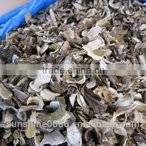 Wild Dried White Porcini Mushroom thumbnail-6