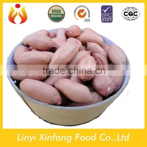 Best Selling Products Peanuts 1kg Price Groundnuts for Sale thumbnail-1