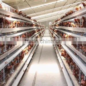 High Quality Commercial Chicken Cages/cheap Folding Cage/rabbit Cage thumbnail-3
