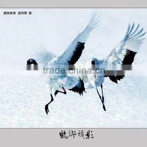 3D Picture thumbnail-1