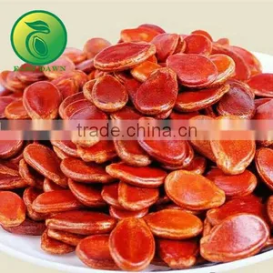 Watermelon Crimson Sweet Import and Export thumbnail-2