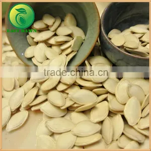 Organic Pumpkin Seeds in Shell thumbnail-2