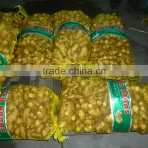Chinese Fresh Ginger thumbnail-2