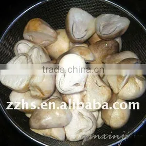 Canned Straw Mushroom With Competive Price thumbnail-1