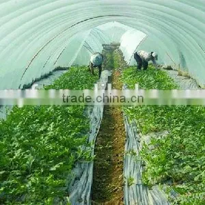 PE Agriculture Greenhouse Film thumbnail-2