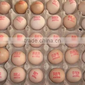 Egg Code Printing Machine thumbnail-2