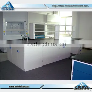 Wholesale High Quality Made In China PP Workstation For Laboratory thumbnail-1