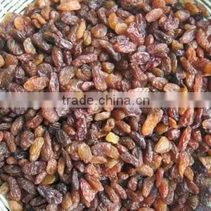 Supply Varies Dried Raisins in High Quality thumbnail-6