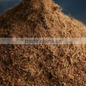 High Quality- Best Price Cocopeat for Export thumbnail-1
