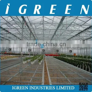 Venlo Type Flower Multi Span Commercial Greenhouse thumbnail-5