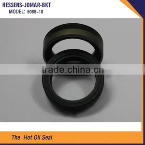 Wholesale Price Hydraulic Pump Oil Seal thumbnail-1