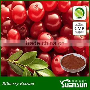 Cranberry Extract Powder Cranberry Extract From Professional Supplier thumbnail-2