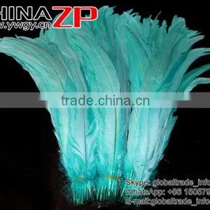 NO.1 Supplier CHINAZP Bulk Sale Selected Prime Quality Colored Light Lake Blue Fully Dyed Rooster Chicken Feathers thumbnail-2