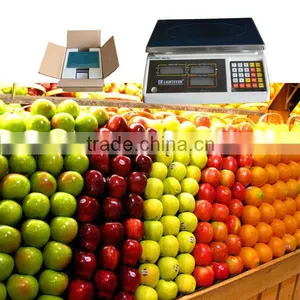 Digital Price Computing Platform Scale thumbnail-1