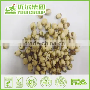 Organic Snacks, Salted Roasted Soybeans, Salted Edamames thumbnail-4