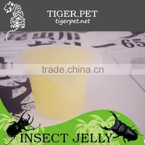 New Products Assorted Pudding Cup Jelly thumbnail-5