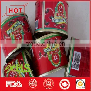 Canned Tomato Paste of Good Quality thumbnail-6