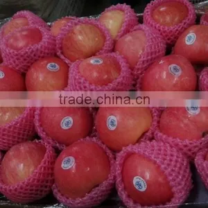 Export Dubai Fuji Apple thumbnail-3