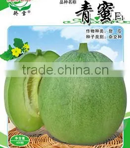 Cold Resistance Bad Weather Resistance Green Sweet Melon Seeds F1 For Growing-Green Honey F1 thumbnail-1