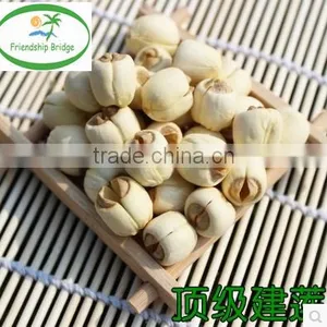 Nelumbo Nucifera Gaertn Lotus Nut Lotus Seeds thumbnail-1