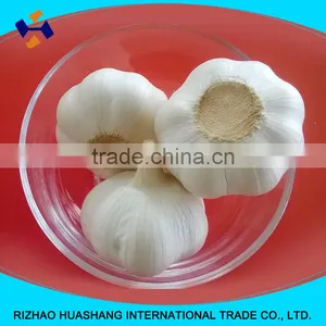 White Garlic Size4.0cm thumbnail-3