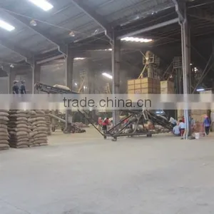 HIGH QUALITY ROBUSTA COFFEE BEANS thumbnail-6