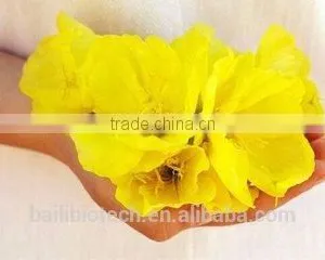 Good Healthcare Evening Primrose Oil for Women thumbnail-2