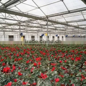 JINLONG Big Air Flow and Low Noise Air Circulation Fan for Poultry Farming thumbnail-5