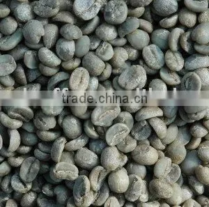 Green Coffee thumbnail-1