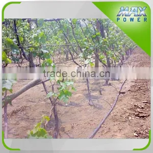 Commercial Greenhouse Drip Irrigation Belt thumbnail-3