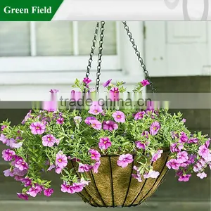 Outdoor Decorative Garden Planter thumbnail-1