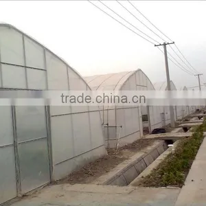 Plastic Film Greenhouse for Tomato thumbnail-1