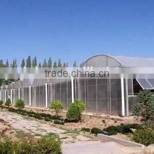 PC Sheet Covering Material Low Cost Greenhouse thumbnail-2