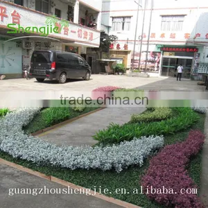 SJLJ013479 New Style Artificial Grass Wall / Decorative Artificial Green Wall thumbnail-3