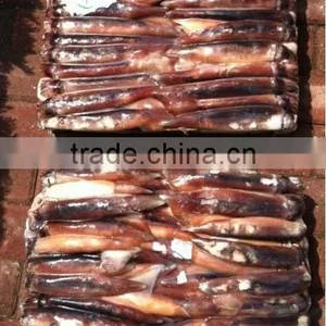 Frozen Illex Argentinus Squid thumbnail-1