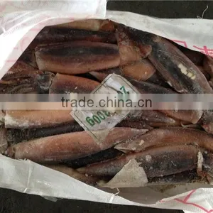 Frozen Illex Squid Every Size Available New Landing thumbnail-1