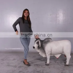 Definitive Brahman Looking Left thumbnail-5