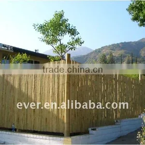 BAMBOO FENCE thumbnail-1