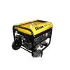 LPG & Natural Gas & Gasoline Generator thumbnail-1
