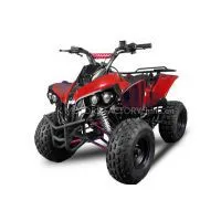 NEW BIG TIRE 2017 CHILD ATV125CC thumbnail-1