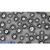 Titanium Powder thumbnail-1