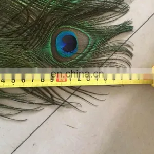 170cm Five Lines Wholesale Natural Peacock Feather Wooden Fan for Party thumbnail-2