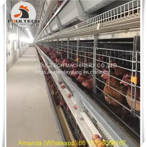 Ethiopia Poultry Chicken Farming Battery Chicken & Layer Cage & Chicken Coop & Hen Coop & Laying Hen Cage in Chicken House thumbnail-2