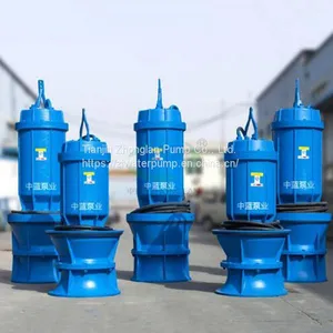 Pitshaft Axial- Flow Pump thumbnail-1