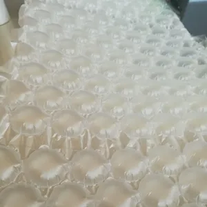 Air Film Bag Inflatable Bag Packaging 100% Of High Quality Transport Shock-proof Inflatable Air Bubble Film Packaging thumbnail-2
