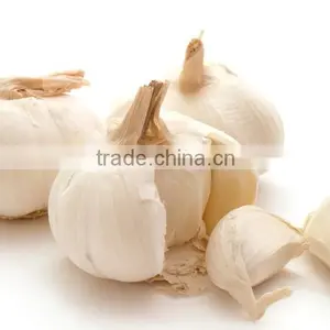 New Scent Oil Fruit Serious Aroma Organic Garlic Essential Oil thumbnail-1