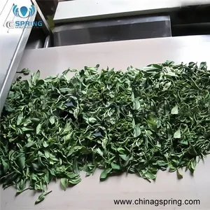 Automatic Industrial Microwave Dryer for Herbal Leaves Processing PLC Control Drying Sterilization Equipment thumbnail-3
