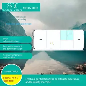 Constant Temperature and Humidity Air Conditioner, Fresh Air Type Full Fresh Air Air-cooled Direct Expansion Rooftop Heat Pump Combined Unit All-in-one Machine thumbnail-2