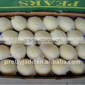 Chinese Centurial Pear(white) thumbnail-1
